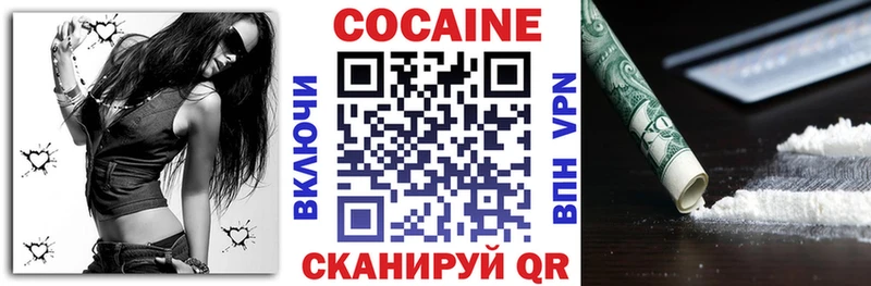 Cocaine FishScale Купить где Сольвычегодск
