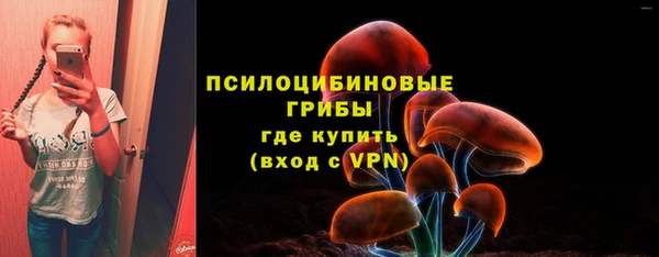таблы Елизово