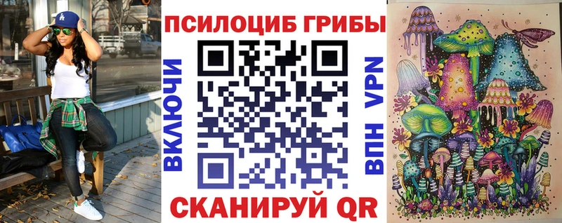 Купить закладки  Сольвычегодск  Галлюциногенные грибы мухоморы 